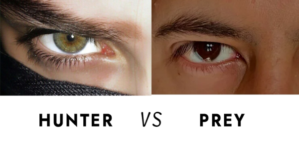 hunter eyes vs prey eyes