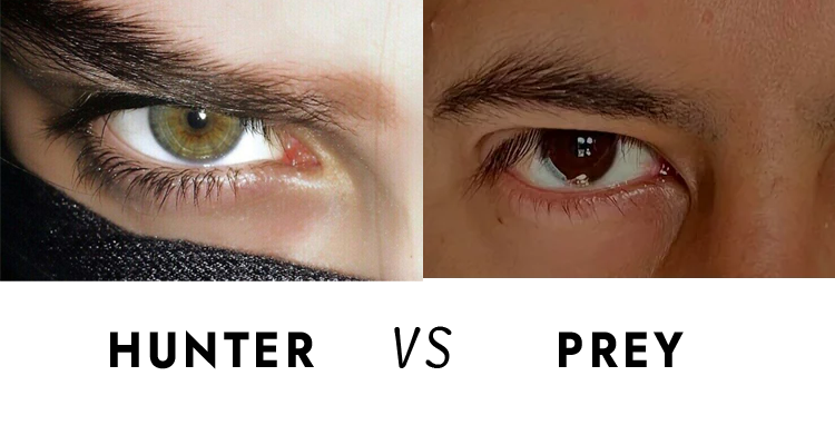 hunter eyes vs prey eyes